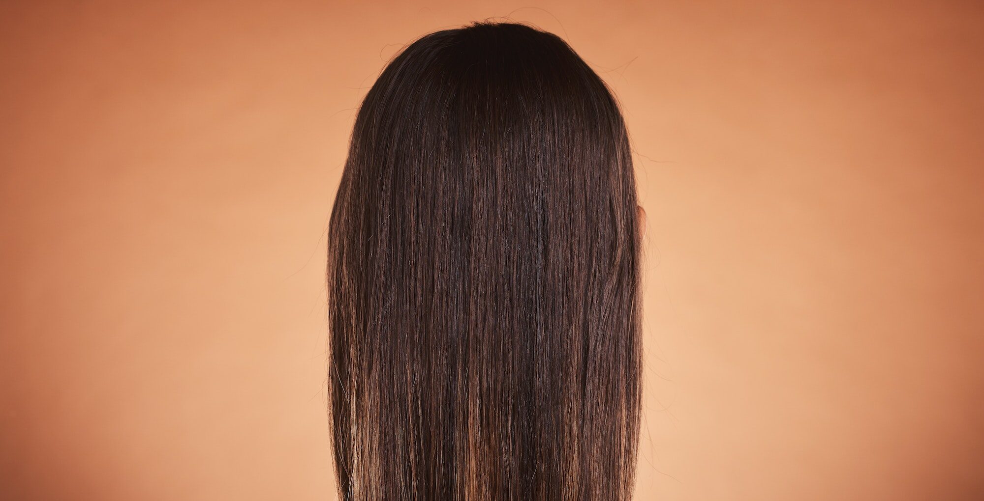 Brunette woman, shine and hair care, beauty salon, balayage and hair dye, color cosmetics and wig e